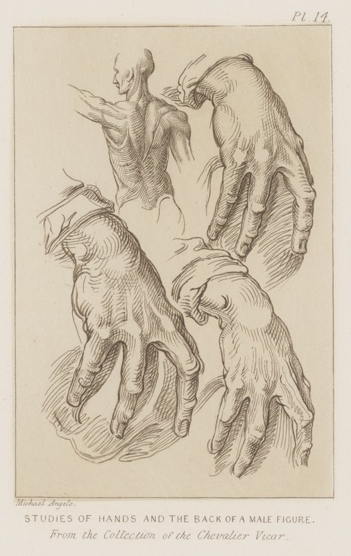 Studies of Hands and the Back of a Male Figure by Michelangelo (after) Buonarroti