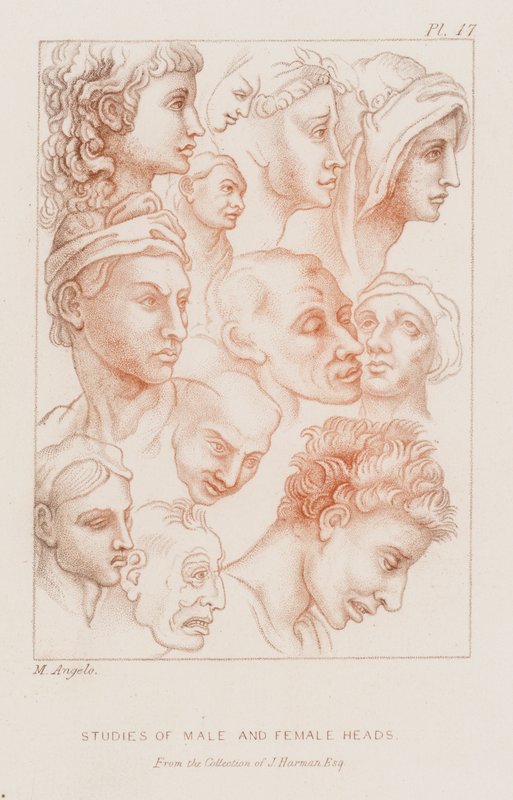 Studies of male and female heads by Michelangelo (after) Buonarroti