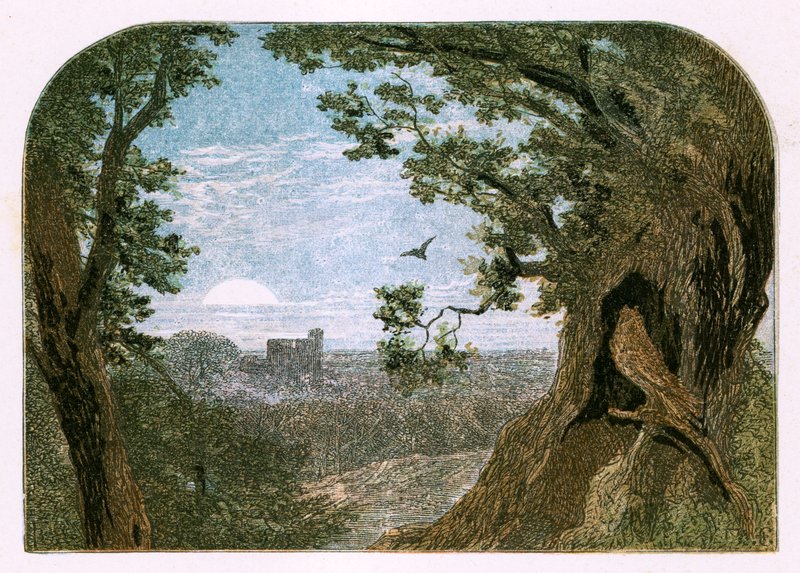 Illustration for 