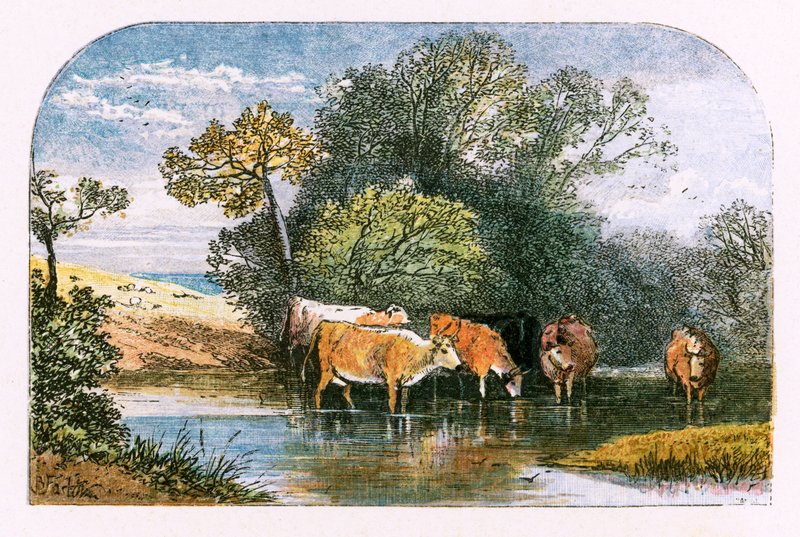 Illustration for 