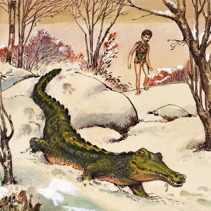 Peter Follows the Crocodile (illustration from 