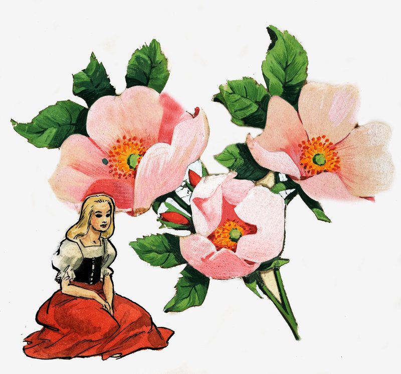 Thumbelina by Nadir Quinto