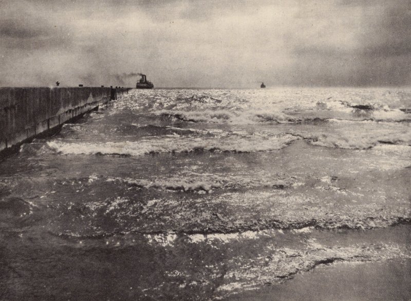 Summer, Lake Ontario by Nichol Elliot