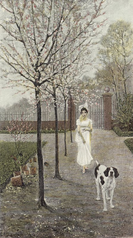 Spring Blossoms by Nicolaus Geiger