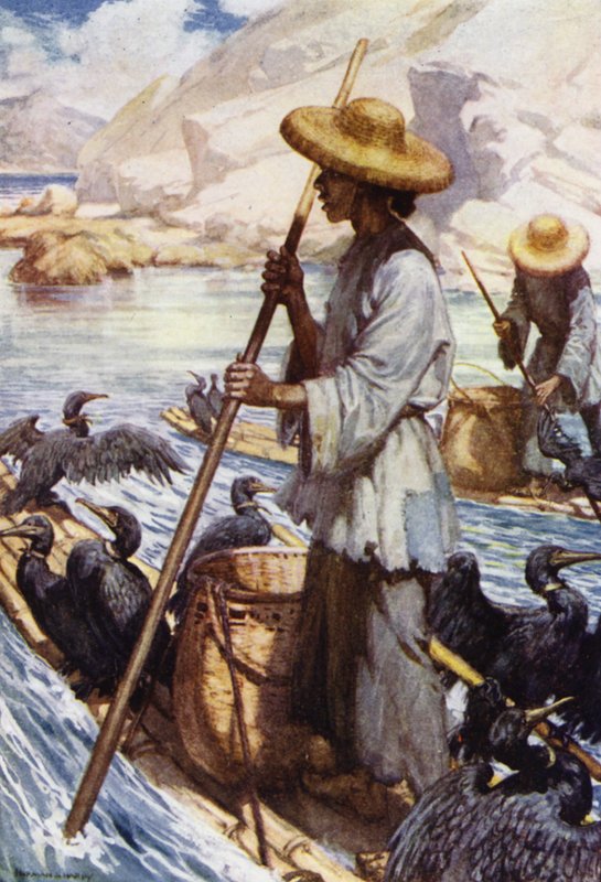 China: Fishing with cormorants by Norman Hardy