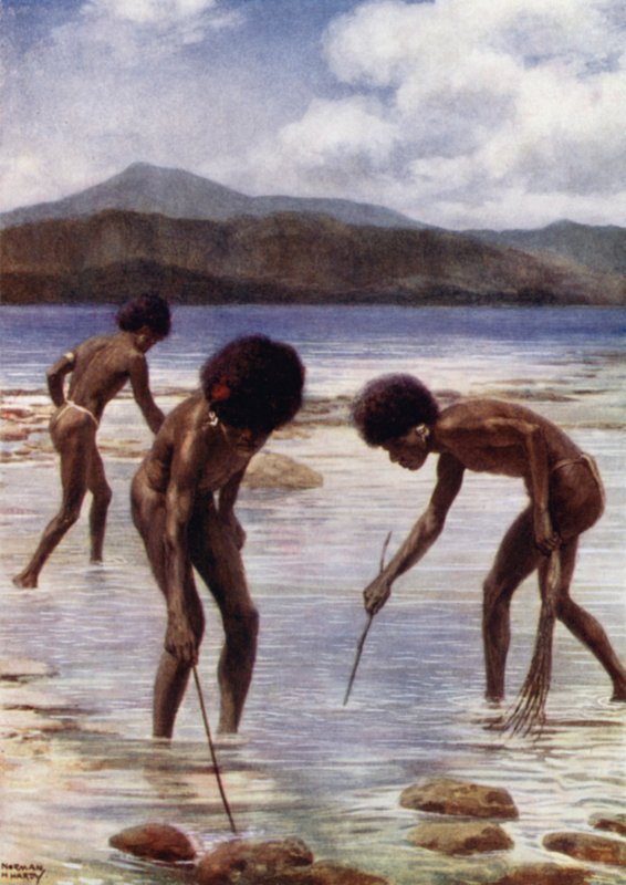Searching for small Octopi on the Reef at low tide, Samari, British New Guinea by Norman Hardy