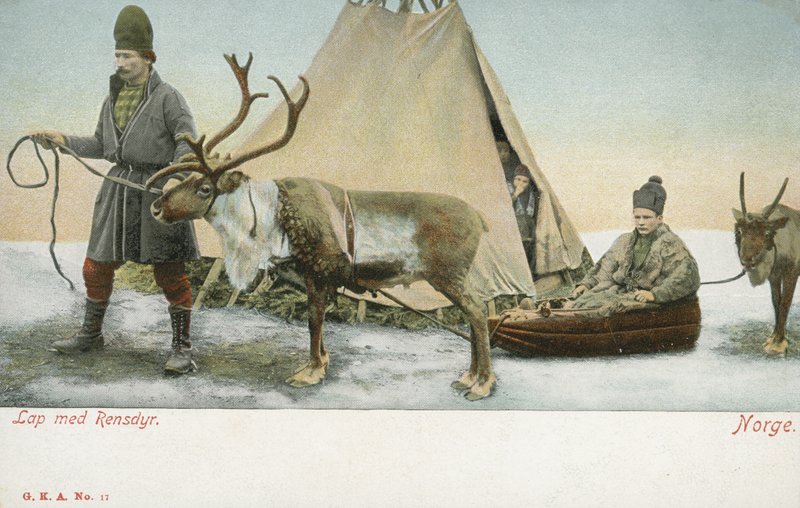Laplanders with reindeer, Norway by Norwegian Photographer