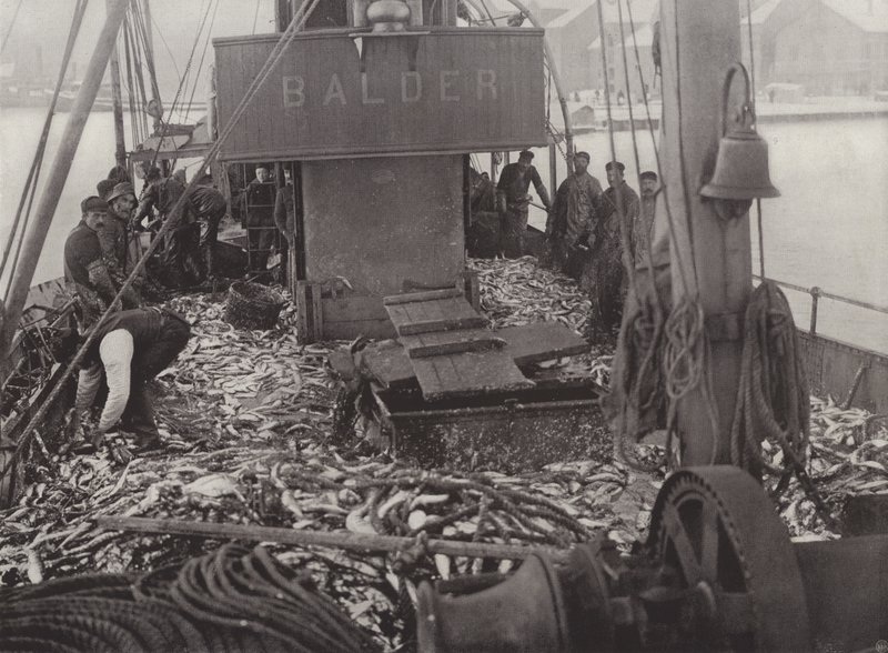 Winter Herring Fishery by Norwegian Photographer