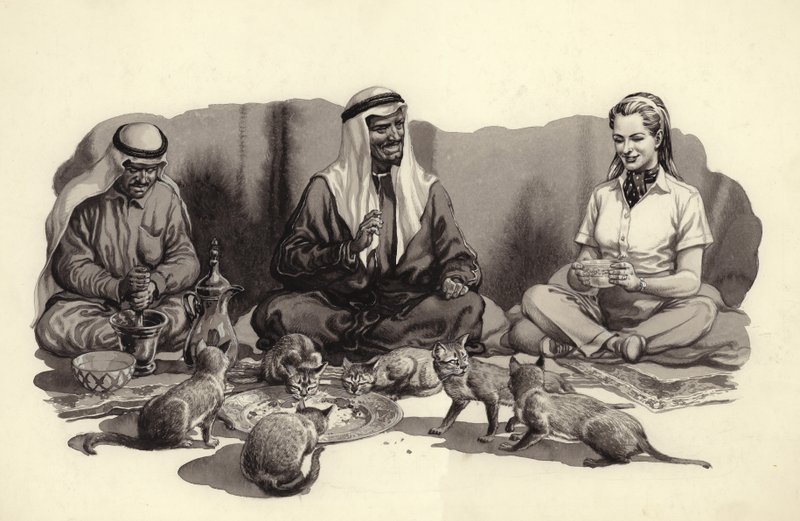 An Arab Man Feeds His Cats by Pat (1907-95) Nicolle