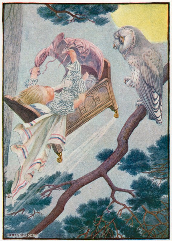 Little Jack Rollaround by Patten Wilson