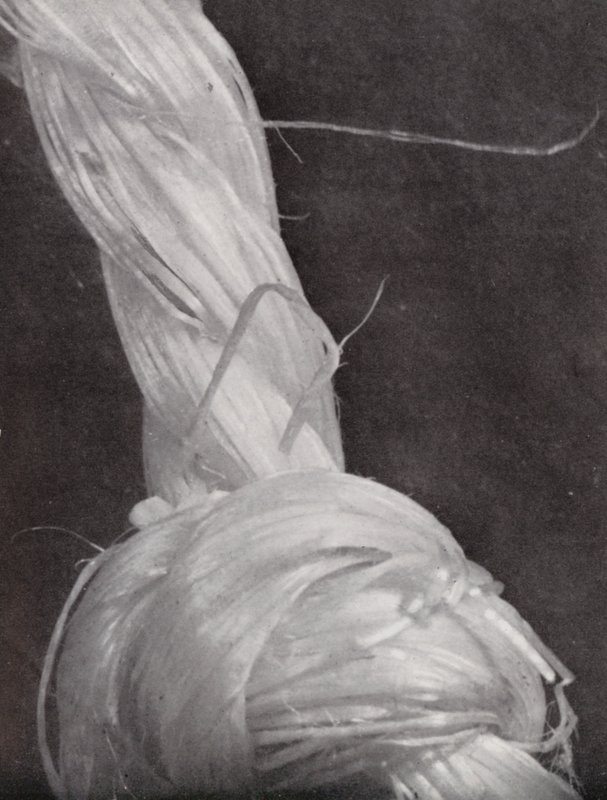 Knotted piece of cord by Paul Henning