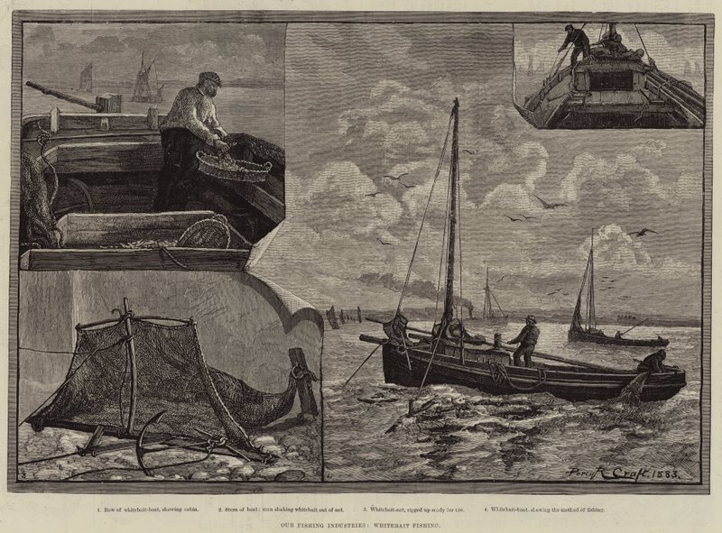 Our Fishing Industries, Whitebait Fishing by Percy Robert Craft