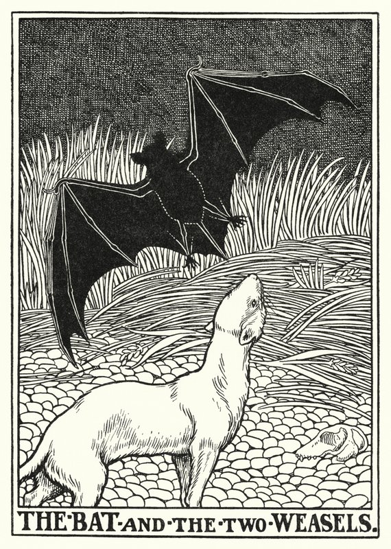 Fables of La Fontaine: The bat and the two weasels by Percy James Billinghurst