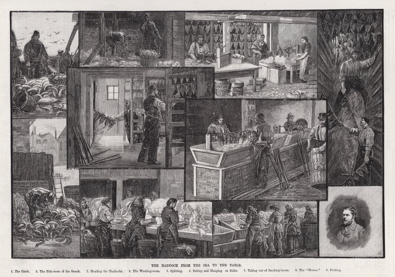 The Haddock from the Sea to the Table by Percy Robert Craft