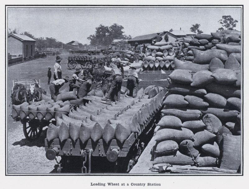 Loading Wheat at a Country Station by Photographer Australian