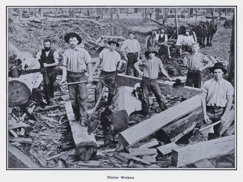 Timber Workers by Photographer Australian