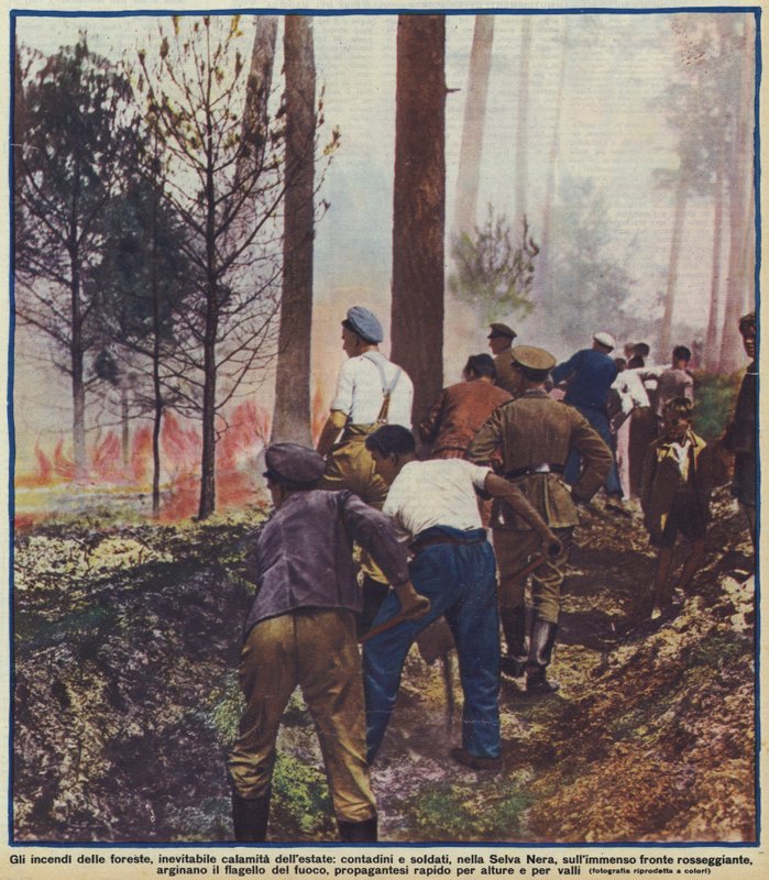 Peasants and soldiers fighting a forest fire in the Black Forest, Germany by Photographer German