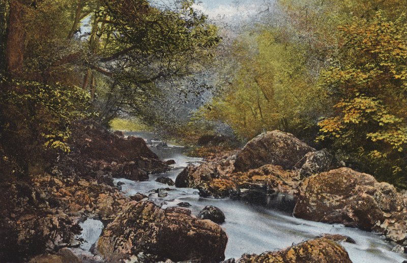 Ireland: In The Dargle, County Wicklow by Photographer Irish