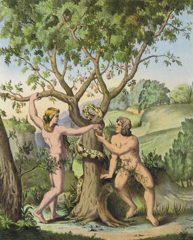 Eve Presenting the Apple from the Tree of the Knowledge of Good and Evil to Adam by after Raphael
