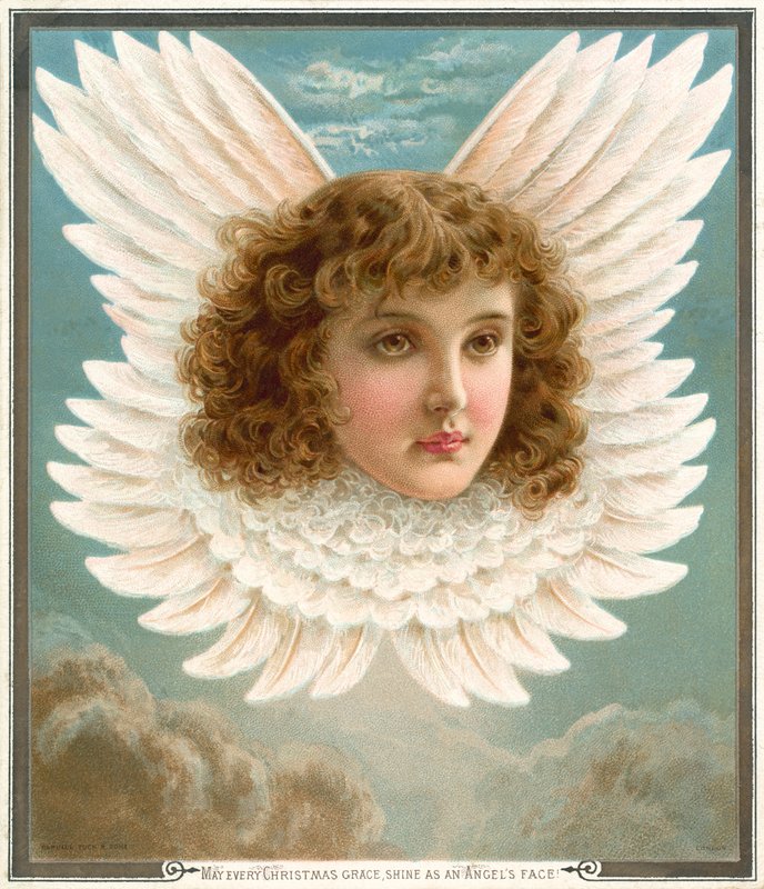 Angel's Head in Wings by Rebecca Coleman: Fine art print