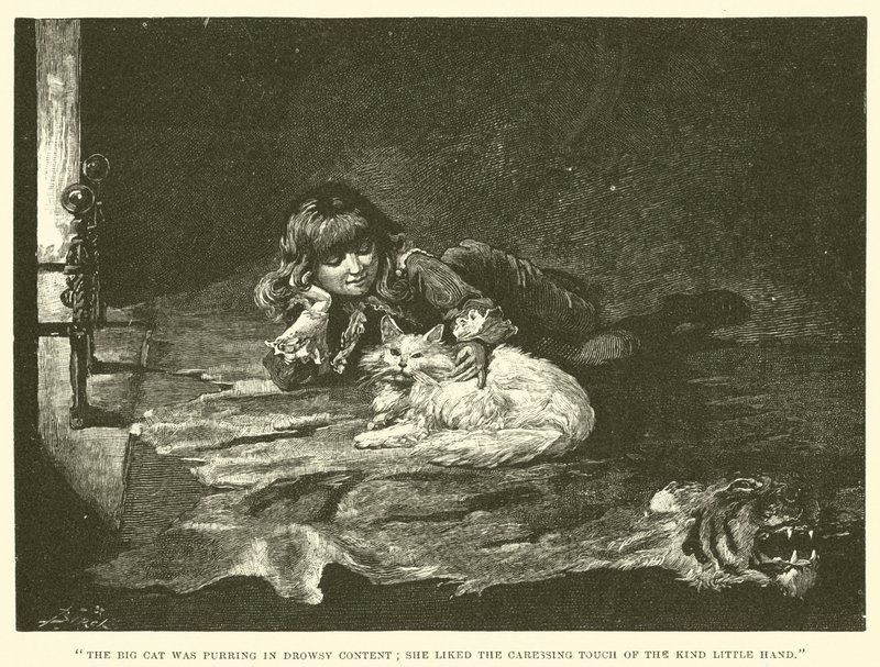 Illustration for Little Lord Fauntleroy by Reginald Bathurst Birch
