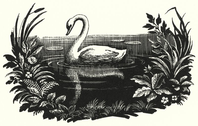 The Ugly Duckling by Rex (after) Whistler