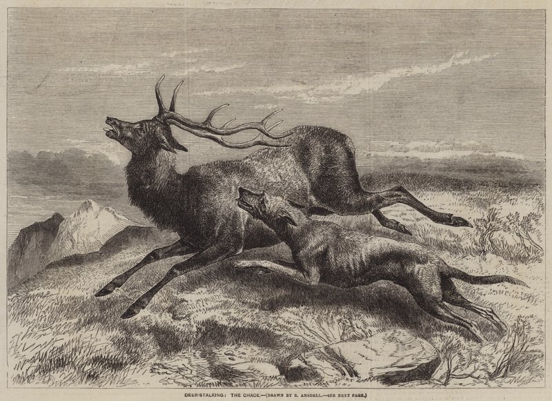 Deer-Stalking, the Chase by Richard Ansdell