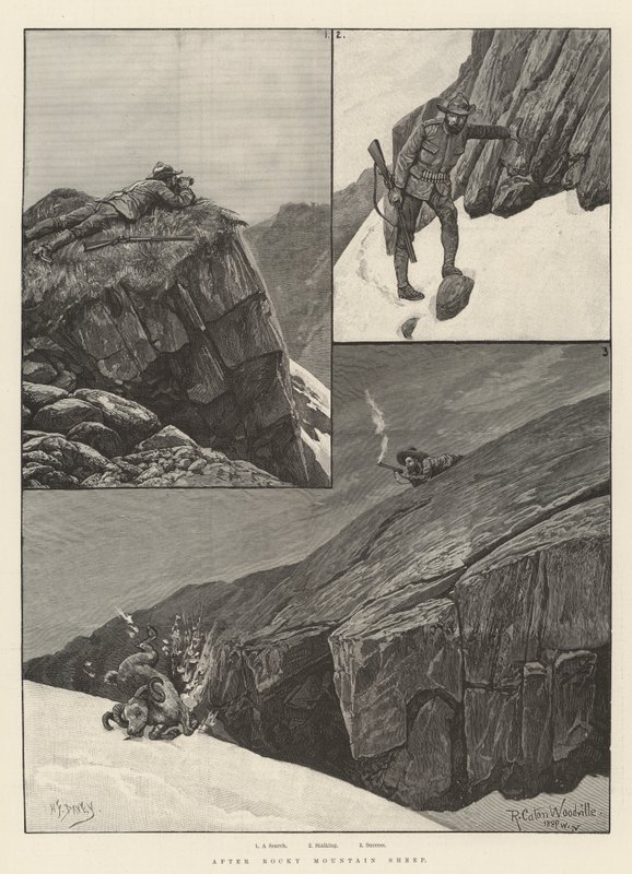 After Rocky Mountain Sheep by Richard Caton Woodville junior