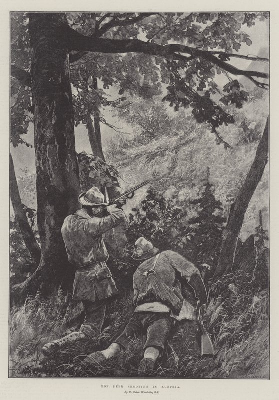 Roe Deer Shooting in Austria by Richard Caton Woodville junior