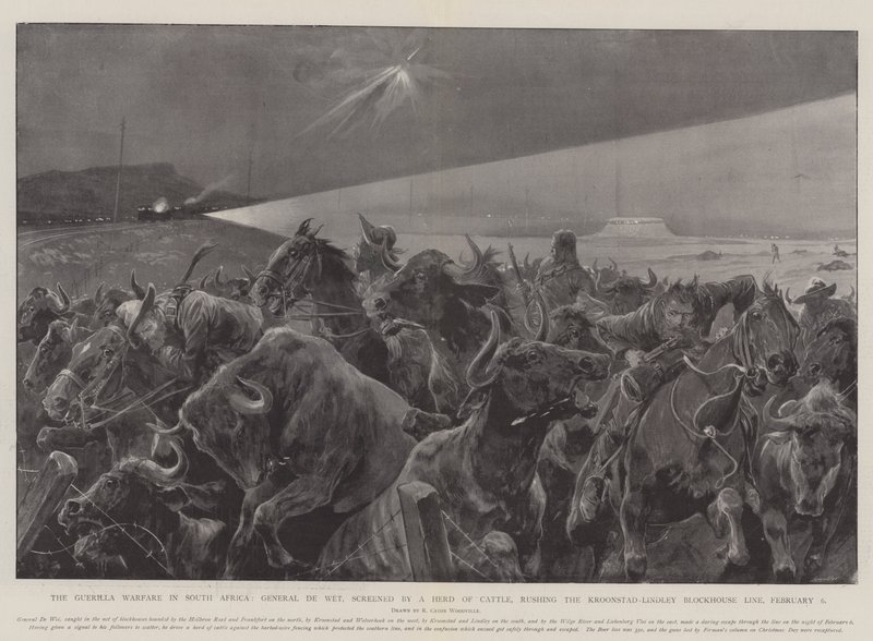 The Guerilla Warfare in South Africa, General De Wet, screened by a Herd of Cattle, rushing the Kroonstad-Lindley Blockhouse Line, 6 February by Richard Caton Woodville junior