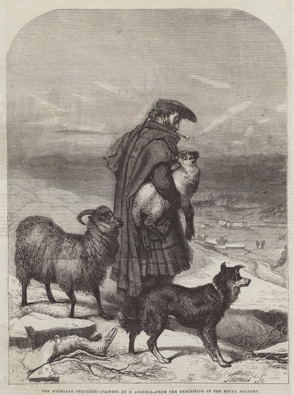 The Highland Shepherd by Richard Ansdell