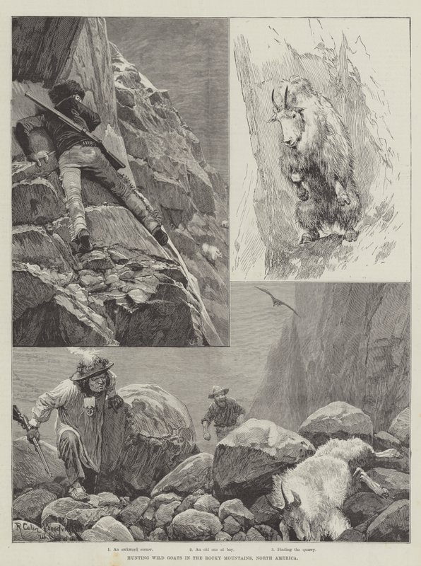 Hunting Wild Goats in the Rocky Mountains, North America by Richard Caton Woodville junior