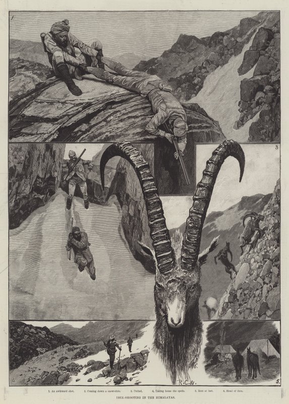 Ibex-Shooting in the Himalayas (engraving) by Richard Caton Woodville junior