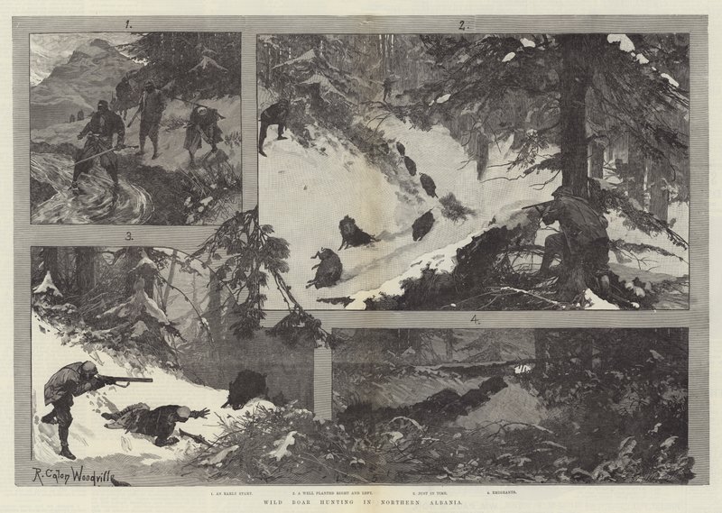 Wild Boar Hunting in Northern Albania by Richard Caton Woodville junior