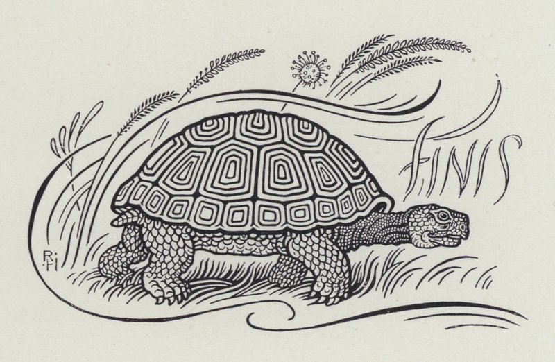 Hare And The Tortoise by Richard Heighway