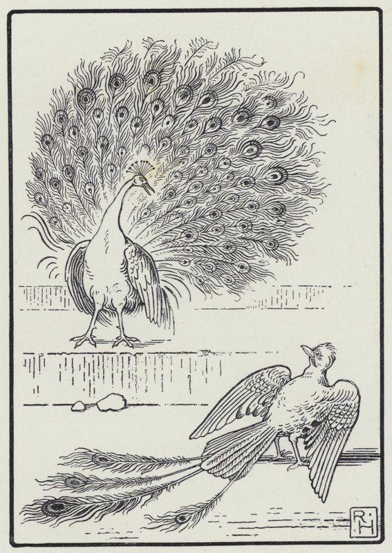 The Jay And The Peacock by Richard Heighway