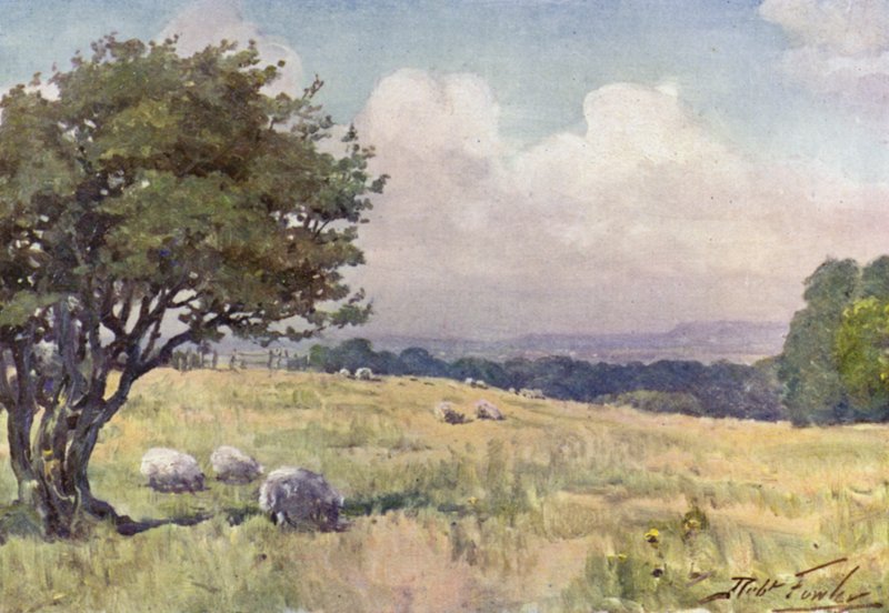 Sunny Field, near Llanberis by Robert (after) Fowler