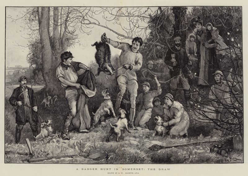 A Badger Hunt in Somerset, the Draw by Robert Walker Macbeth