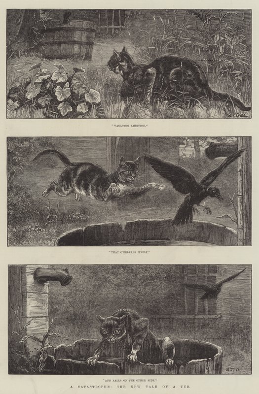 A Catastrophe, the New Tale of a Tub by S.T. Dadd