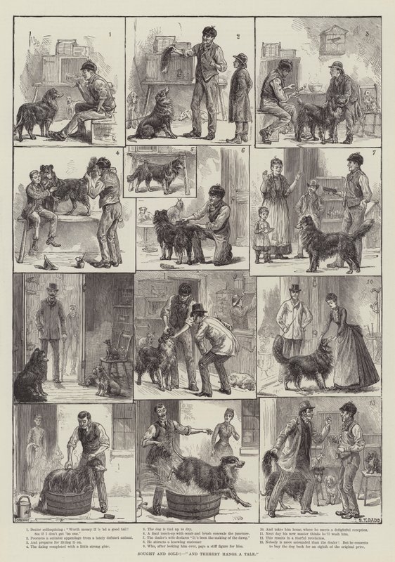 Bought and Sold! And Thereby Hangs a Tale by S.T. Dadd