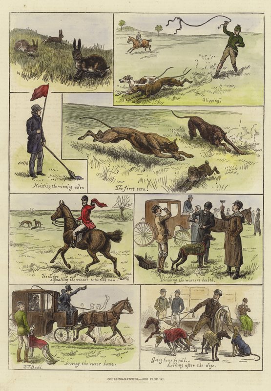 Coursing Matches by S.T. Dadd