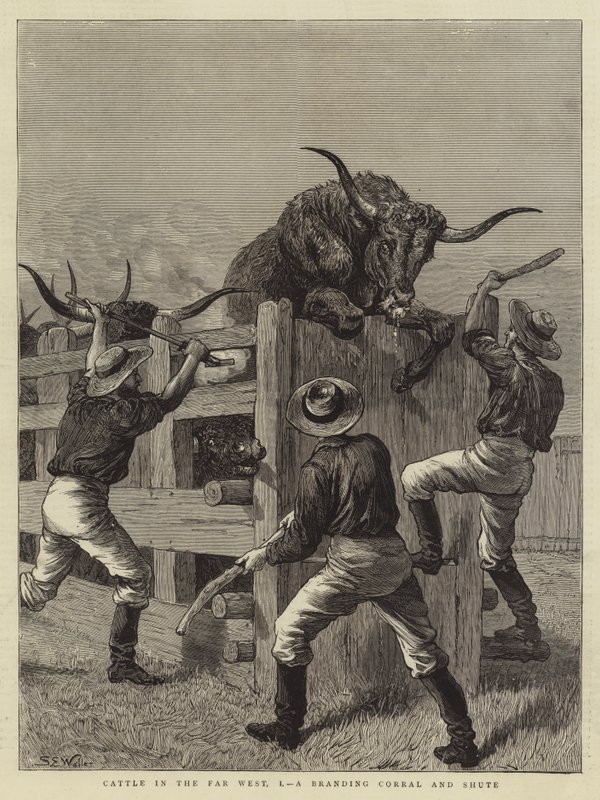 Cattle in the Far West, I, a Branding Corral and Shute by Samuel Edmund Waller