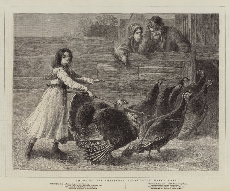 Choosing His Christmas Turkey, the March Past by Samuel Edmund Waller