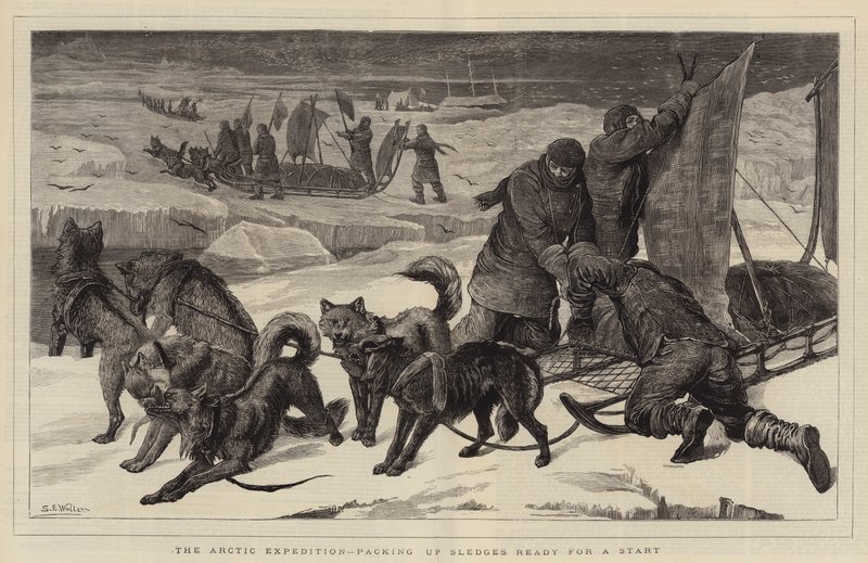 The Arctic Expedition, Packing Up Sledges Ready for a Start by Samuel Edmund Waller