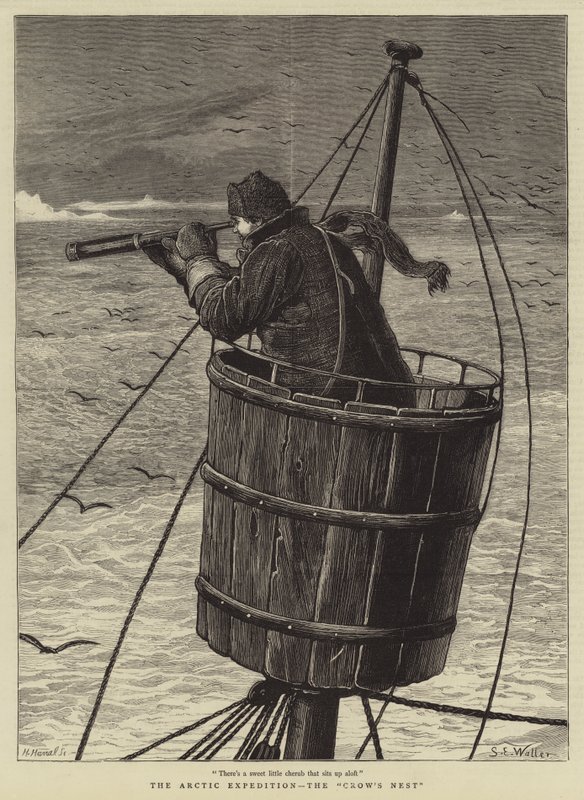 The Arctic Expedition, the Crow