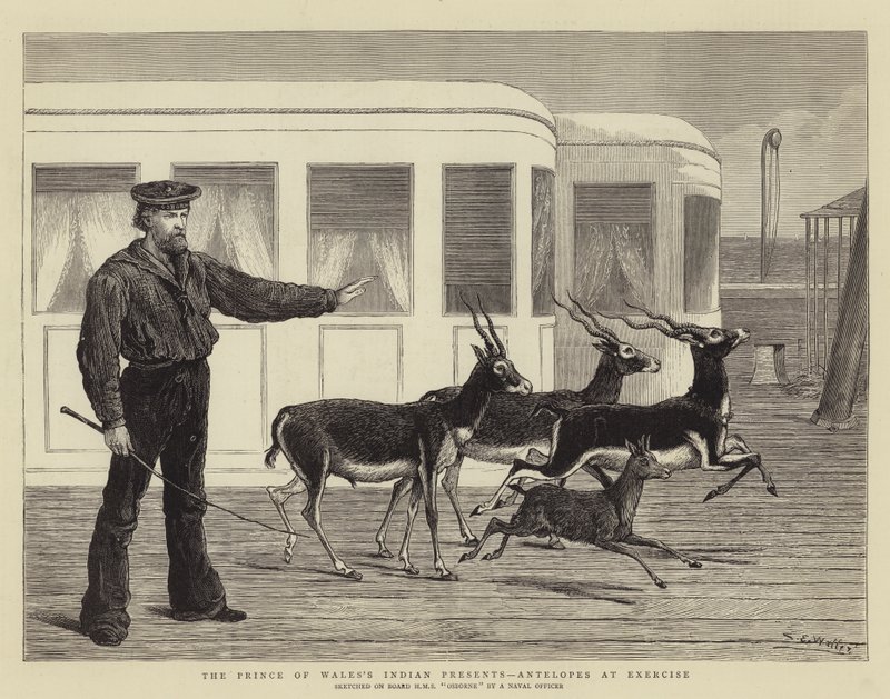The Prince of Wales