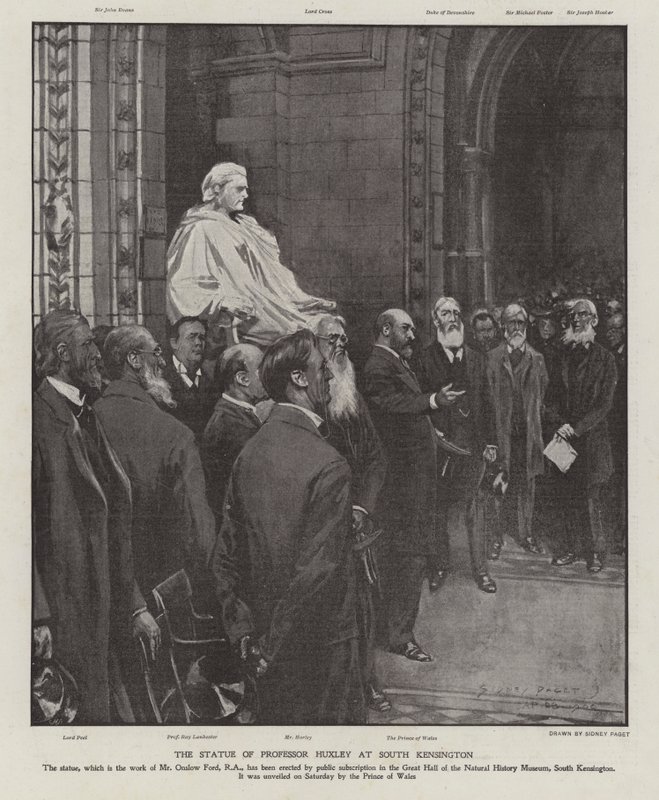 The Statue of Professor Thomas Henry Huxley in the Great Hall of the Natural History Museum, South Kensington, London by Sidney Paget