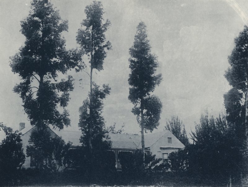 A Dutch Farm, near New Croesus Gold Mining Company (b/w photo) by South African Photographer