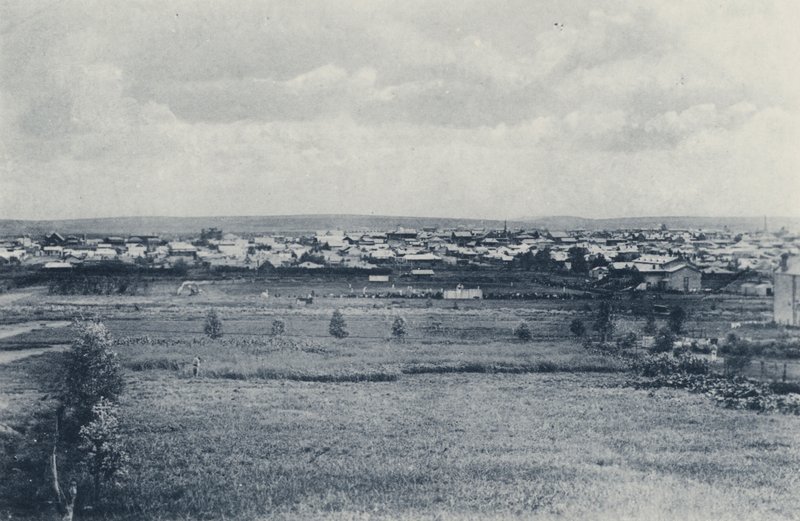 How Johannesburg looked before the Trees were grown up by South African Photographer