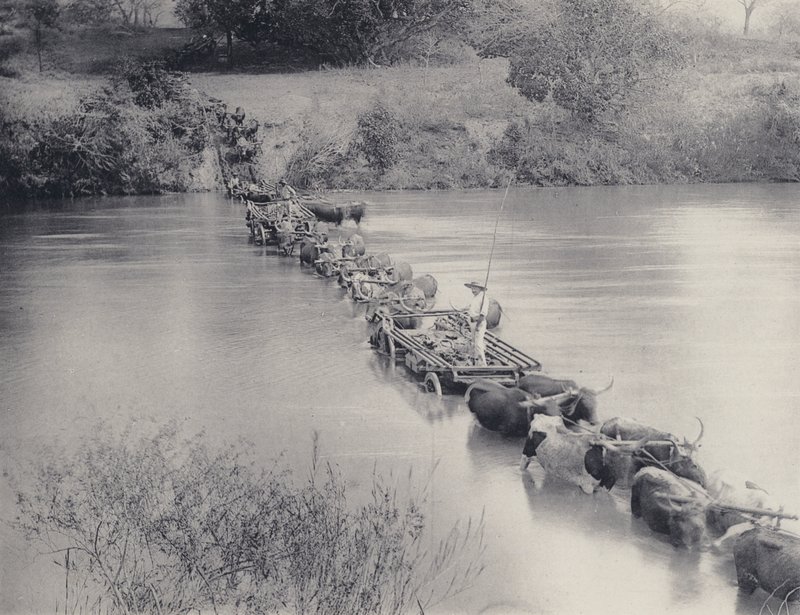 How Rivers are crossed in the Transvaal by South African Photographer